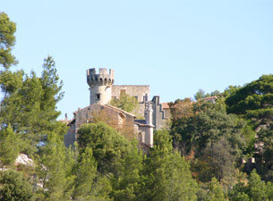 Berühmte Städte wie Avignon, Arles und Nîmes sind nur einen Katzensprung entfernt und auch die ursprüngliche Landschaft der Camargue mit ihren schwarzen Stieren und weißen Pferden lohnt immer einen Besuch.