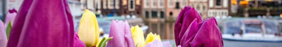 catalina-fedorova-RRl_m_fQzNY-unsplash